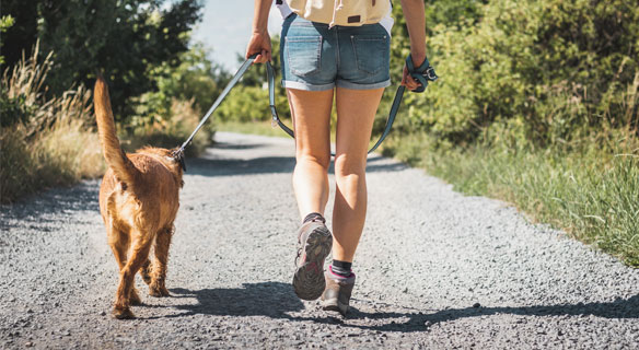 Woman taking her dog hiking on a trail