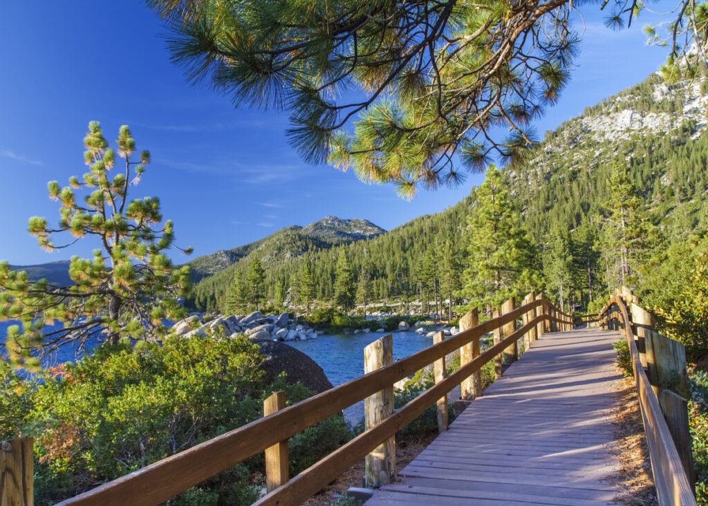 things to do when vacationing with your dog in Lake Tahoe