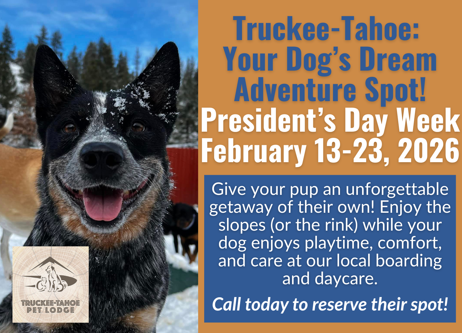 2026 Ski Week Pop-Up